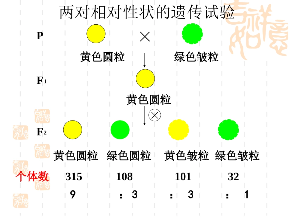 基因的自由组合3_第2页