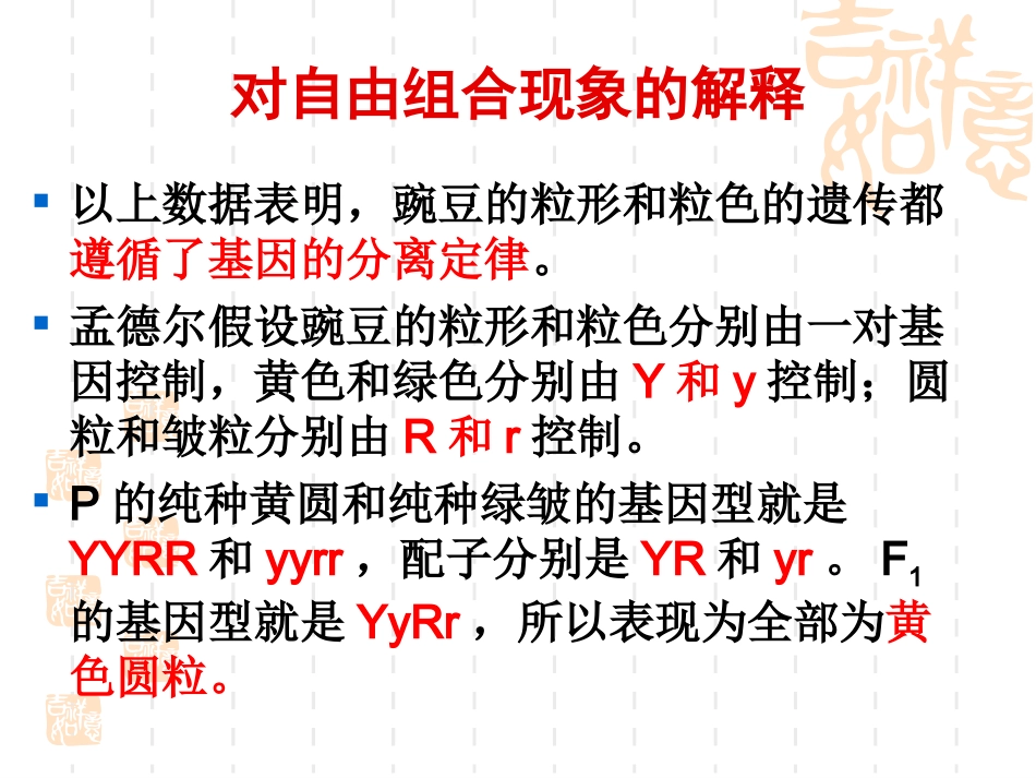 基因的自由组合3_第3页