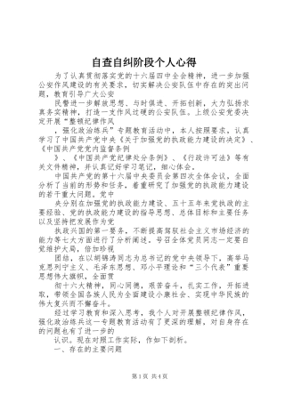 自查自纠阶段个人心得