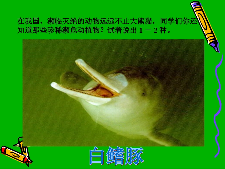保护生物多样性_第3页