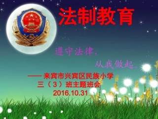 小学生法制教育主题班会