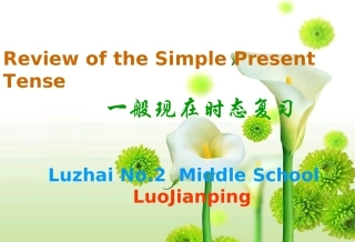 《一般现在时公开课》PPT课件(1)