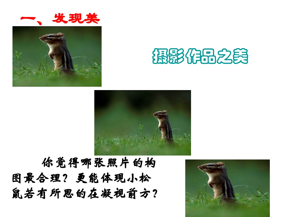 北师大八年级(下)黄金分割课件1_第3页