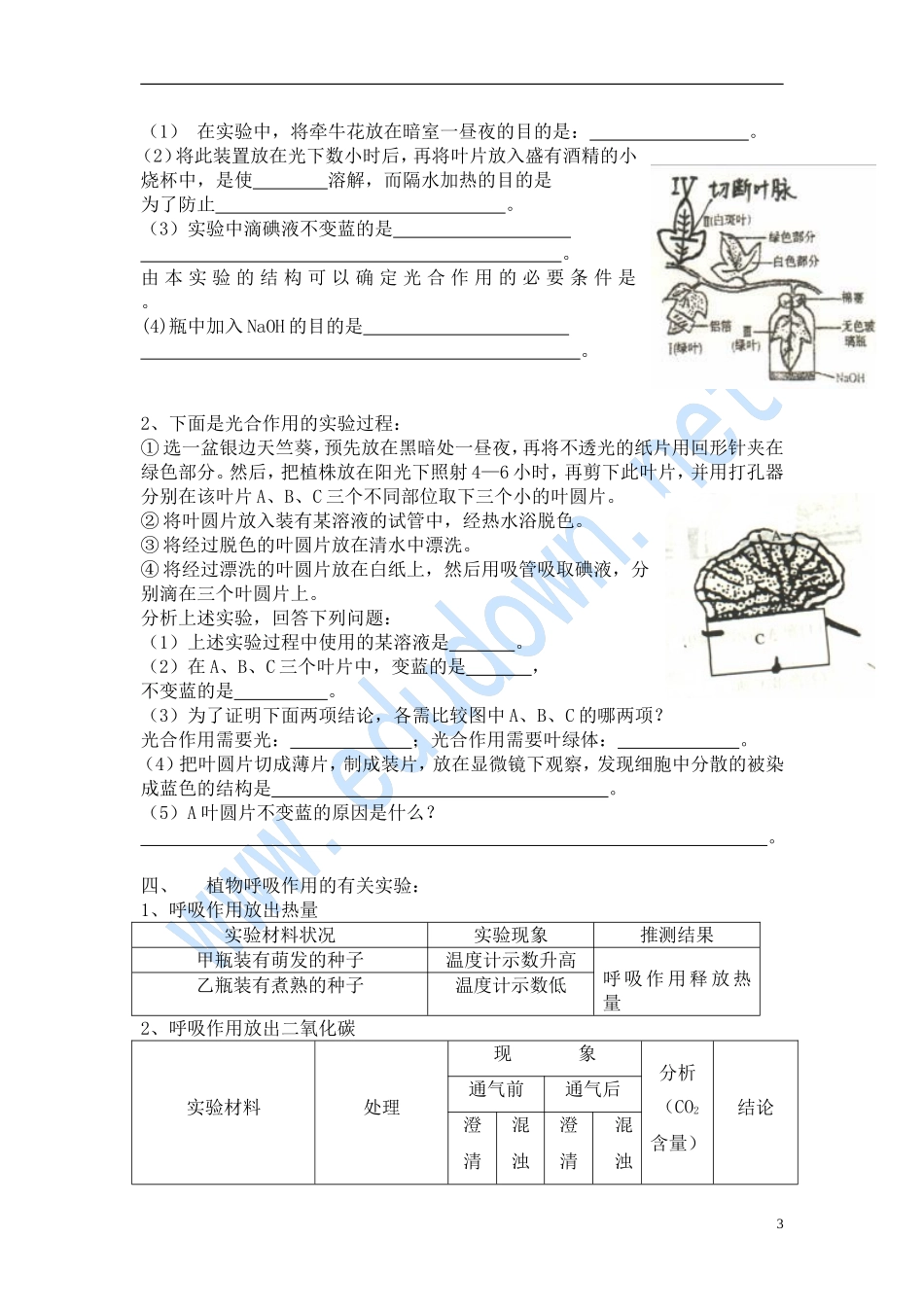 【人教版】2012年生物中考专题复习《生物实验复习题》试题(1)_第3页