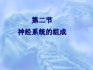 神经系统的组成