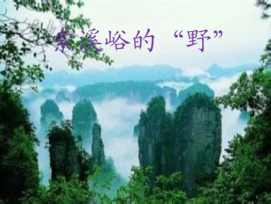 人教版六年级上册索溪峪的野-优秀课件_第1页
