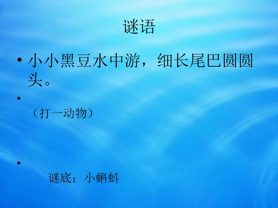 《小蝌蚪》课件_第1页