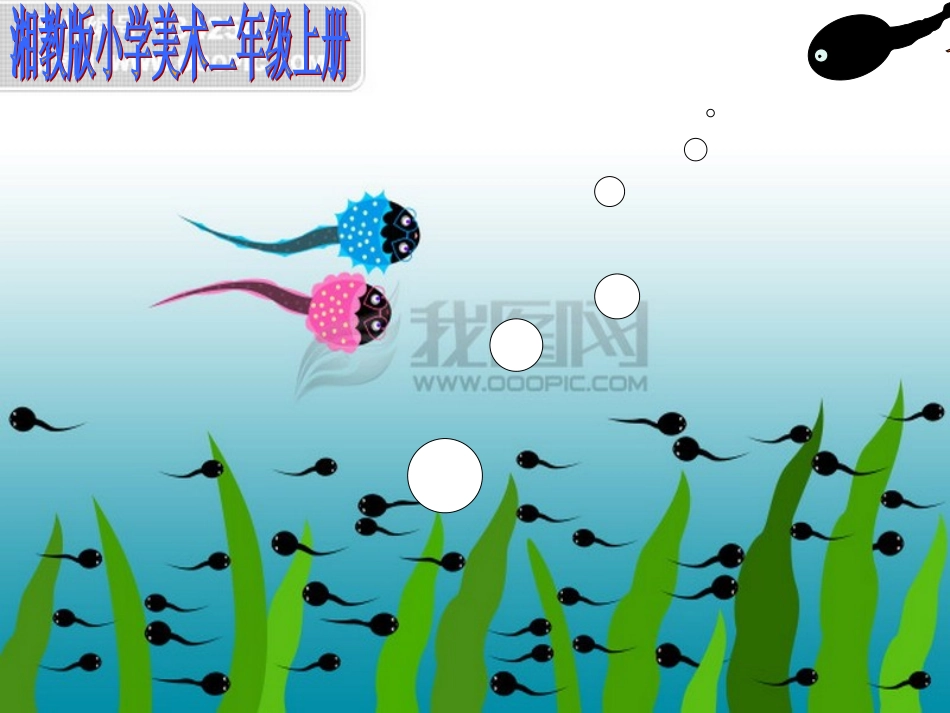 《小蝌蚪》课件_第2页