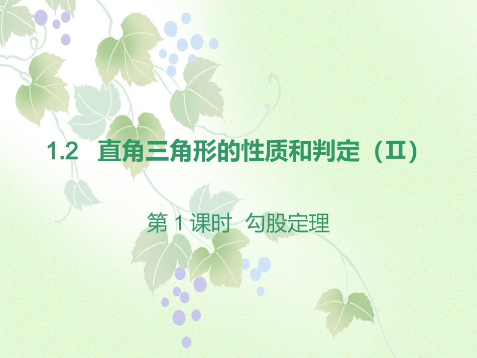 第1课时勾股定理_第1页