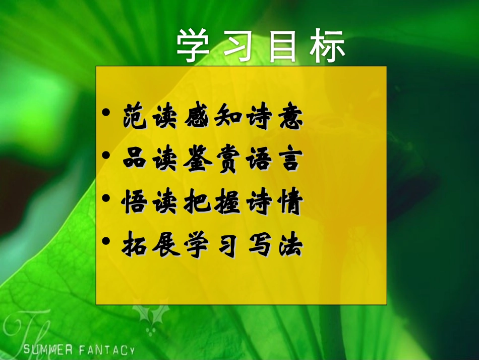 《荷叶母亲》课件 (2)_第2页