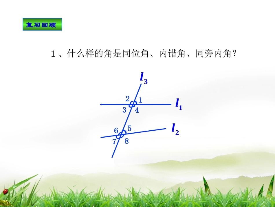 （人教版）七年级下册：531`平行线的性质（1）_第2页