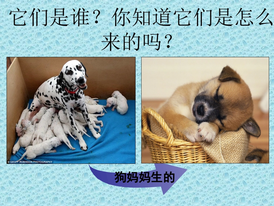 《植物新生命的开始》最新课件_第1页