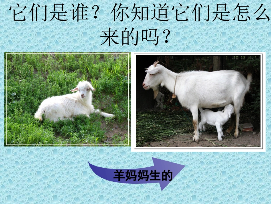 《植物新生命的开始》最新课件_第3页