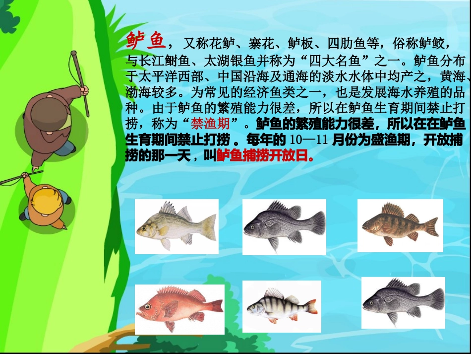 钓鱼的启示PPT (2)_第2页