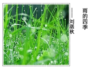 雨的四季[1]