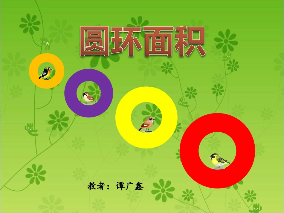 圆环的面积(1)_第1页