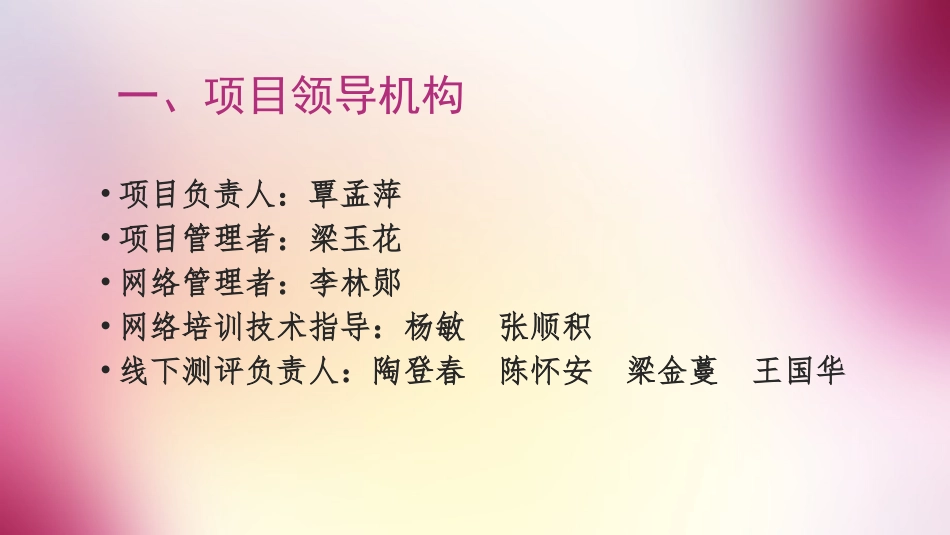 2016教师信息技术能力应用提供工程培训计划演示文稿_第2页