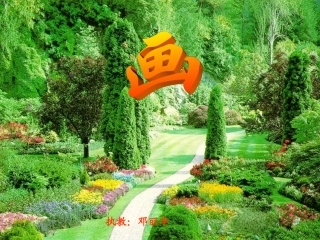 《画》(邓丽华）