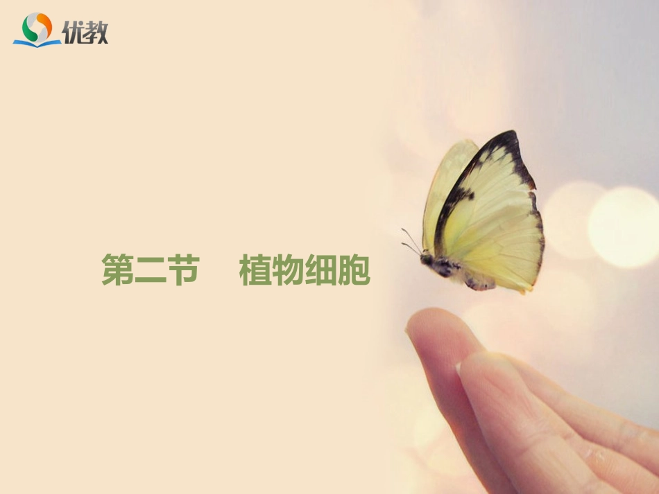 《植物细胞》优教课件1_第1页
