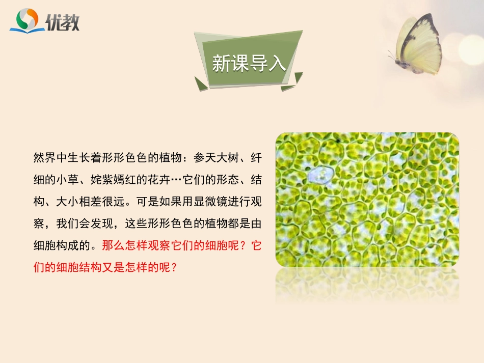 《植物细胞》优教课件1_第3页