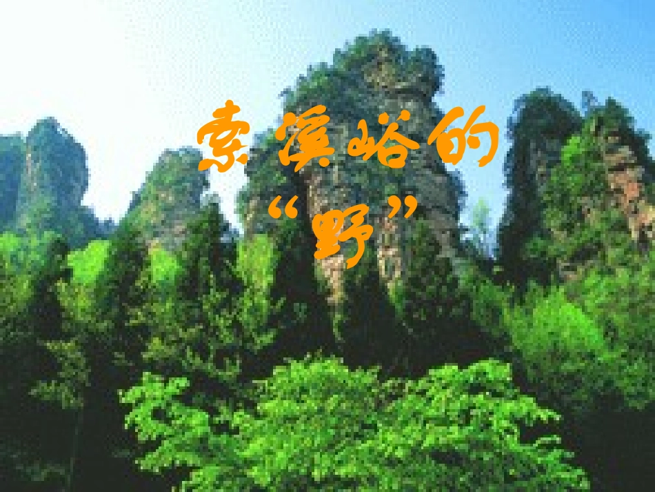 索溪峪的“野” (3)_第1页