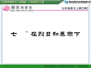 七在烈日和暴雨下