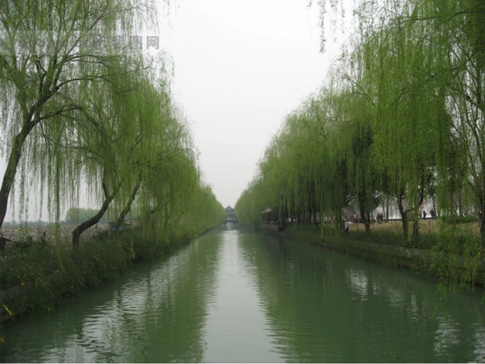 古诗两首咏柳_第3页