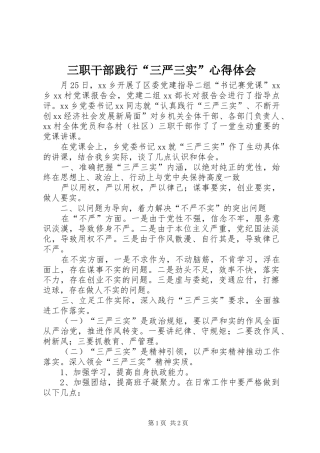 三职干部践行“三严三实”心得体会