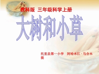 三年级科学上册课件大树和小草