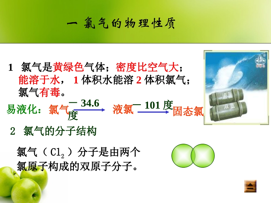 氯气的性质 (2)_第3页