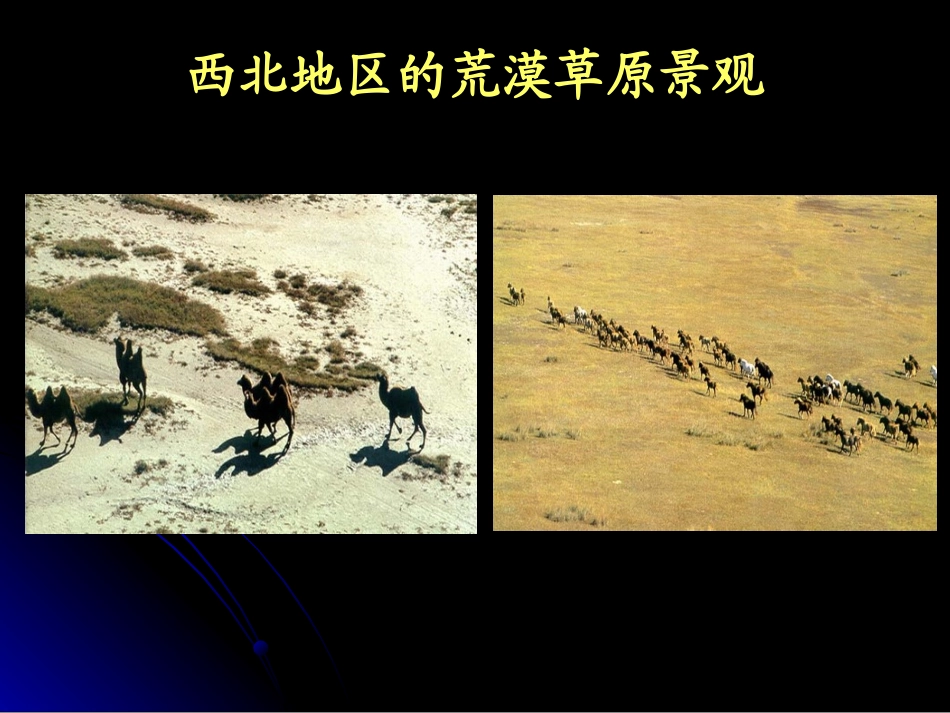 四章三节西北地区课件_第3页