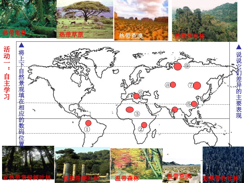 陆地表现和地域分异的基本规律_第3页