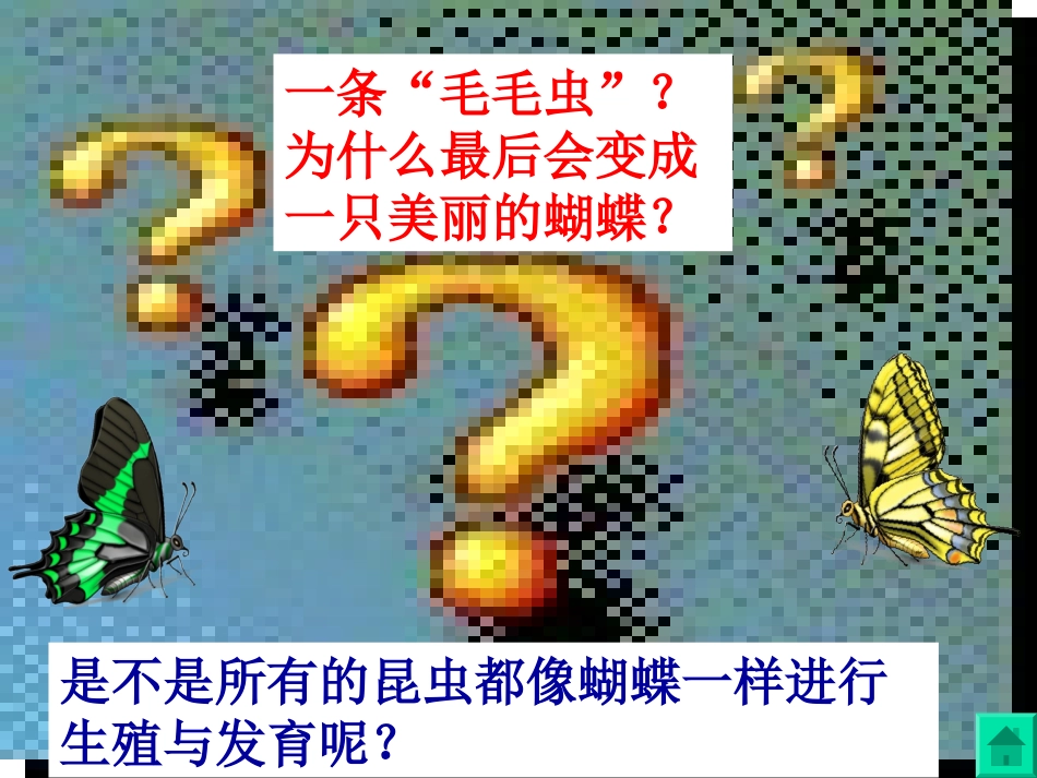 昆虫的生殖和发育2_第3页