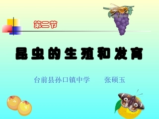 昆虫的生殖和发育2