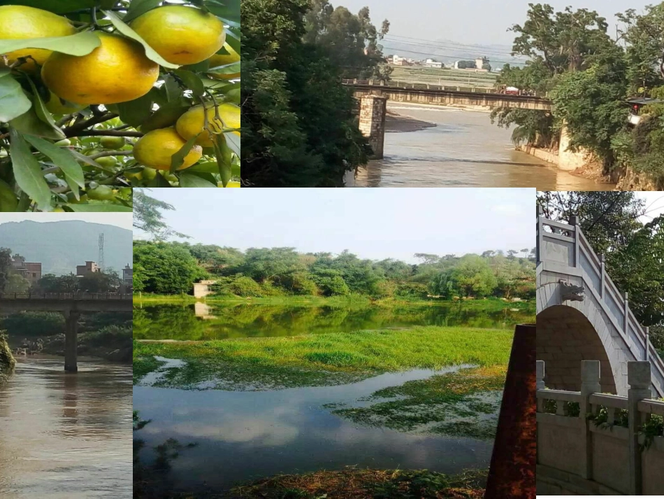 《水乡歌》比赛课件_第2页