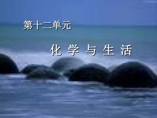 营养物质实用型课件