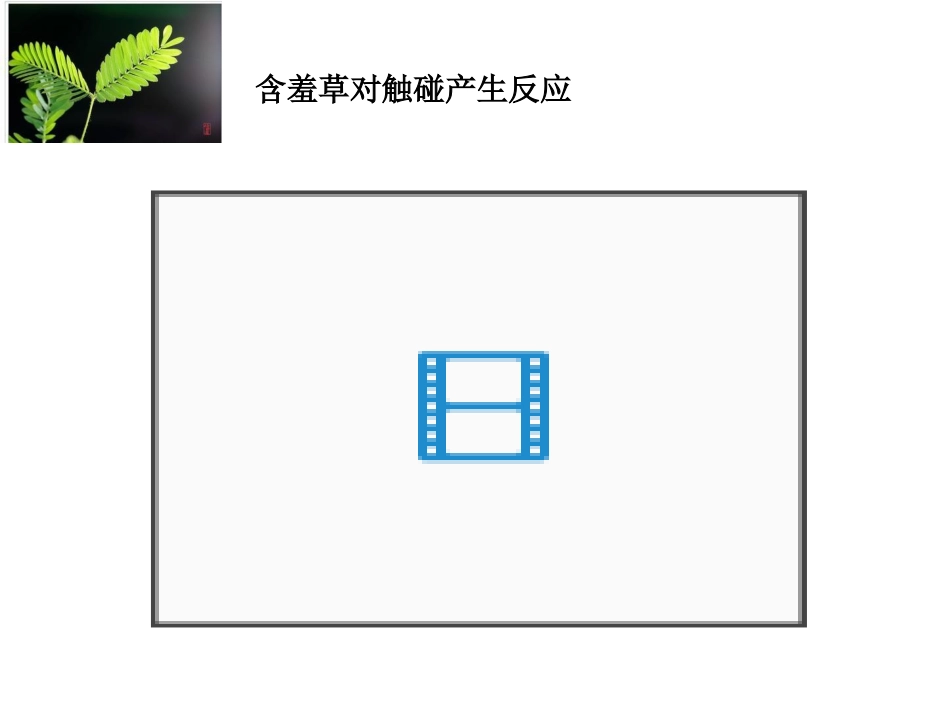 植物生命活动的调节_第3页