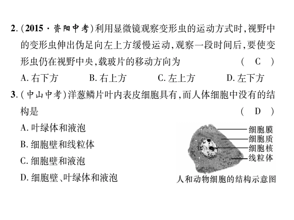 第二单元达标测试题_第3页