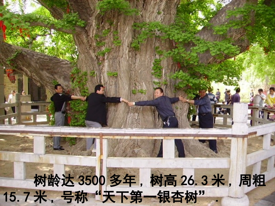 必修一211指数与指数幂的运算(一)_第2页