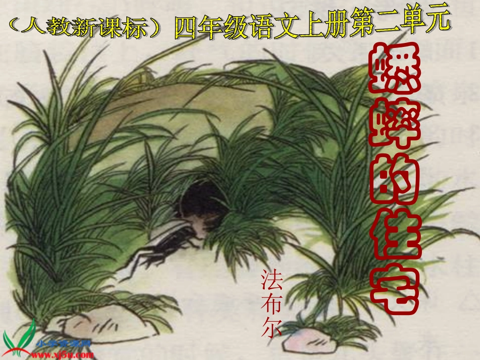 《蟋蟀的住宅》PPT课件_第1页