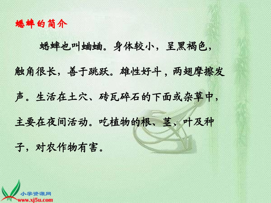 《蟋蟀的住宅》PPT课件_第3页