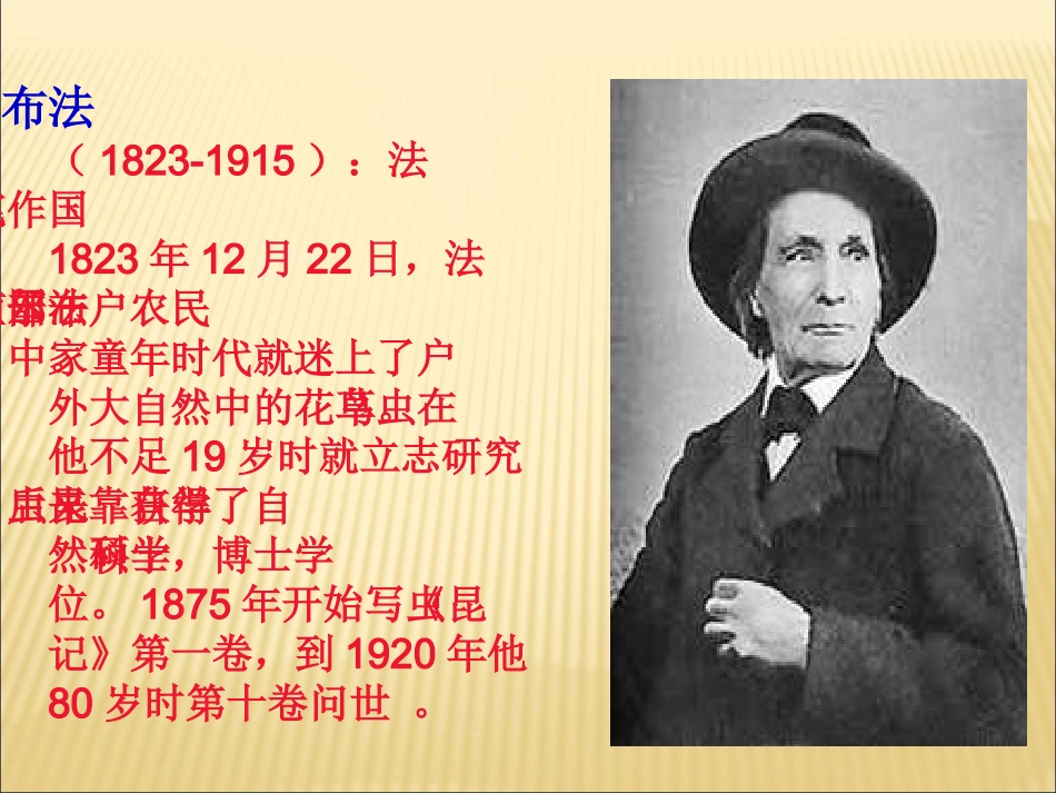 绿色蝈蝈课件_第3页