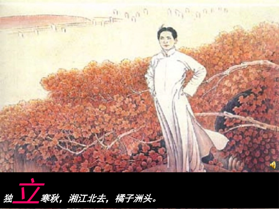 沁园春长沙上课课件_第3页