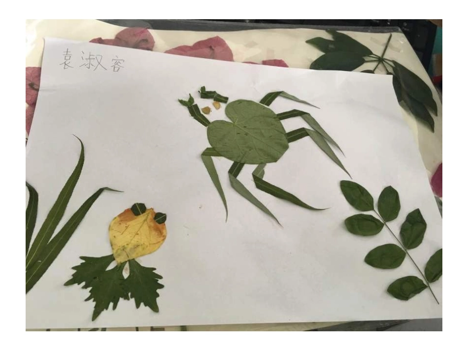 小柳树和小枣树 (4)_第3页