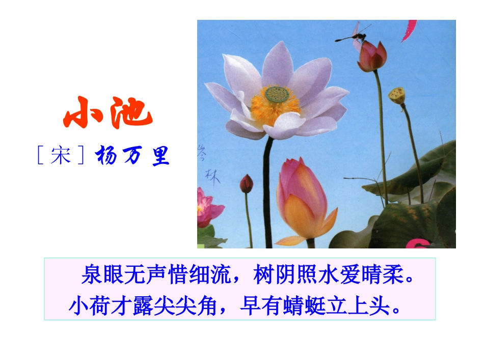 荷花上课用的_第1页