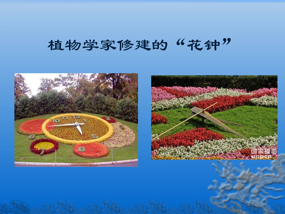 教案13_花钟课件_第2页