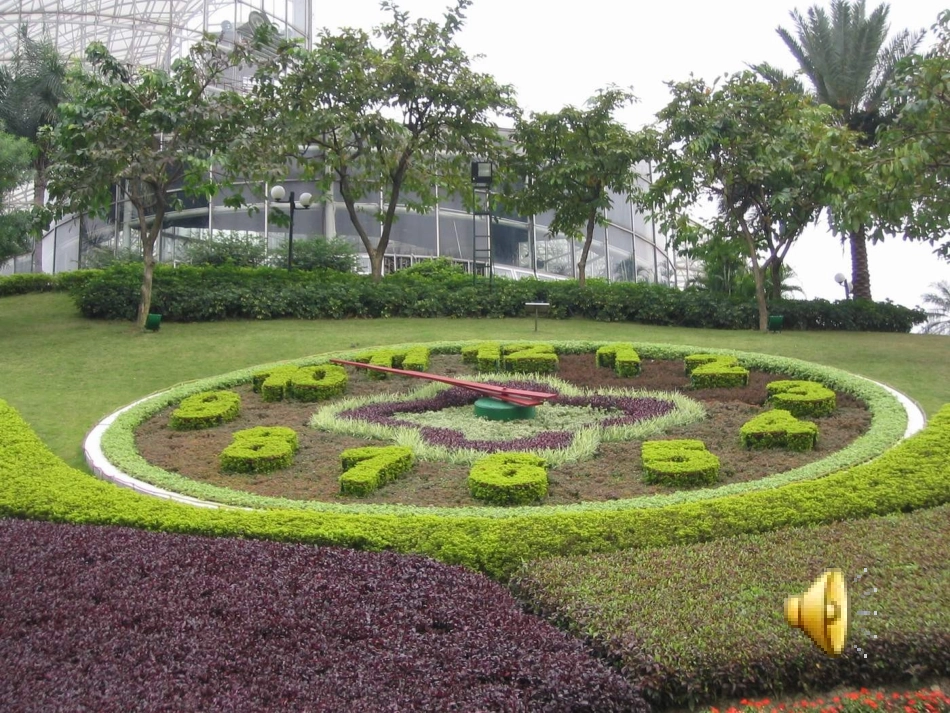 教案13_花钟课件_第3页