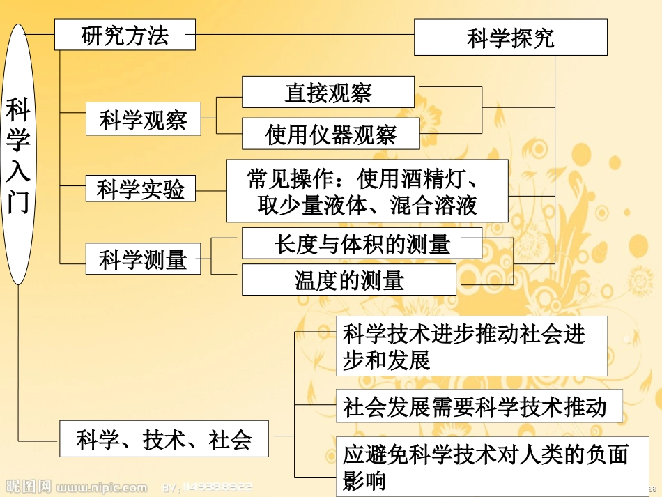 科学入门复习(新浙教版)_第2页