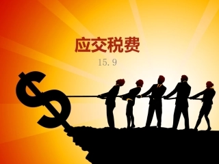 第四节应交税费