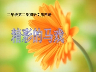 精彩的马戏1